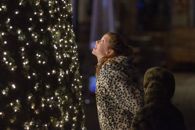 Nijmeegse Winterweken