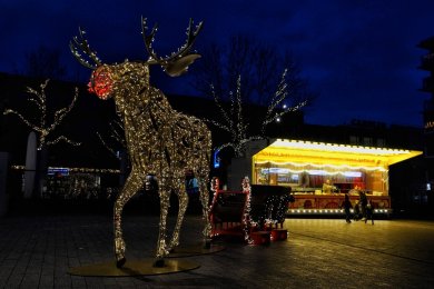 Nijmeegse Winterweken