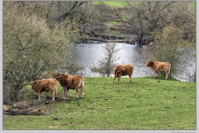 De Ooij bij Nijmegen