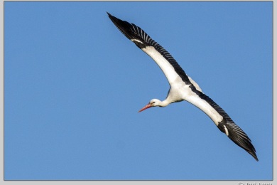 De Ooij bij Nijmegen