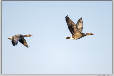 De Ooij bij Nijmegen