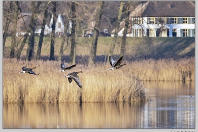 De Ooij bij Nijmegen