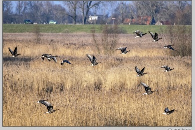 De Ooij bij Nijmegen