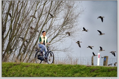 De Ooij bij Nijmegen