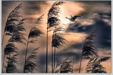 De Ooij bij Nijmegen