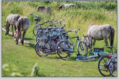 De Ooij bij Nijmegen