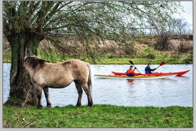 De Ooij bij Nijmegen