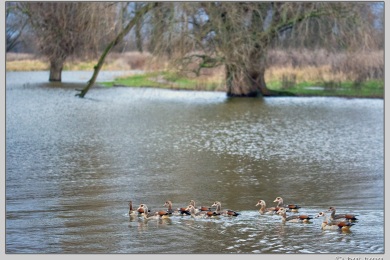 De Ooij bij Nijmegen