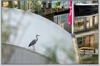 De Ooijpoort bij Nijmegen