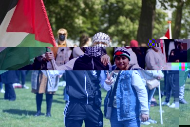 Palestina demonstratie Nijmegen