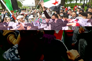 Palestina demonstratie Nijmegen