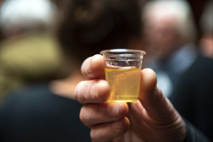 Romeinendag in Wijchen 2023