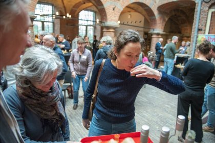 Romeinendag in Wijchen 2023