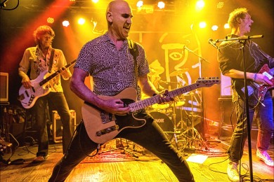 Toxedo Bux in Merleyn 2023