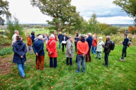 TOEN festival Nijmegen