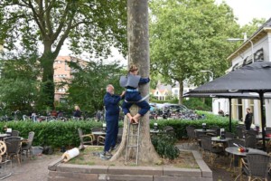 The BigDraw in Zutphen 1 okt 2021